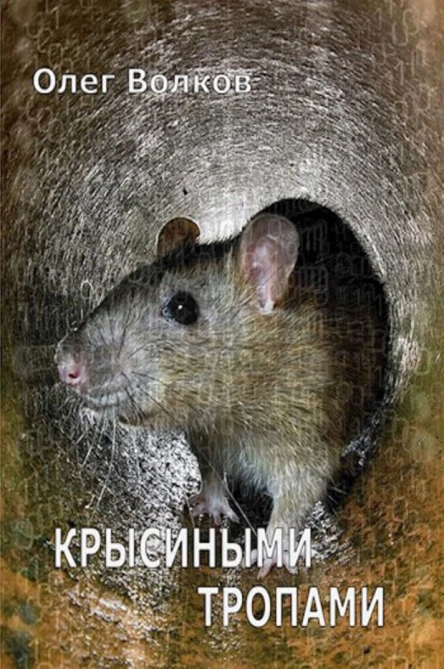 Крысиными тропами СИ