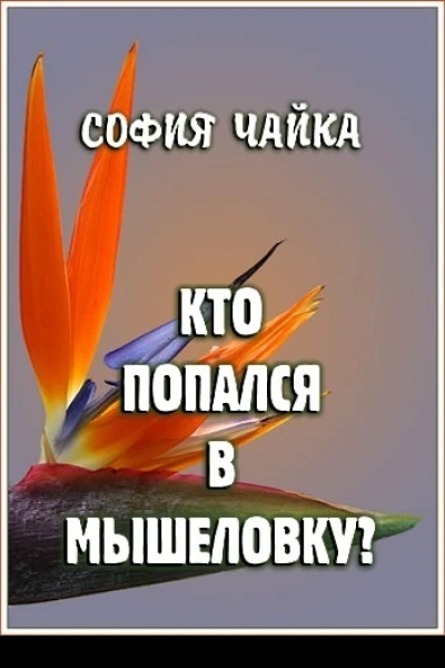 Кто попался в мышеловку