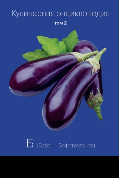 Кулинарная энциклопедия Том 2 Б Баба  Бефстроганов