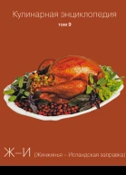 Кулинарная энциклопедия Том 9 ЖИ Жинжинья  Исландская заправка