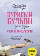 Куриный бульон для души Сила благодарности 101 история о том как благодарность меняет жизнь  Эми Ньюмарк Дебора Норвилл