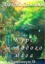Курс молодого мага