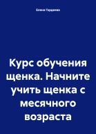 Курс обучения щенка Начните учить щенка с месячного возраста