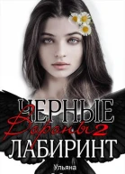 Лабиринт Черные вороны Книга 2