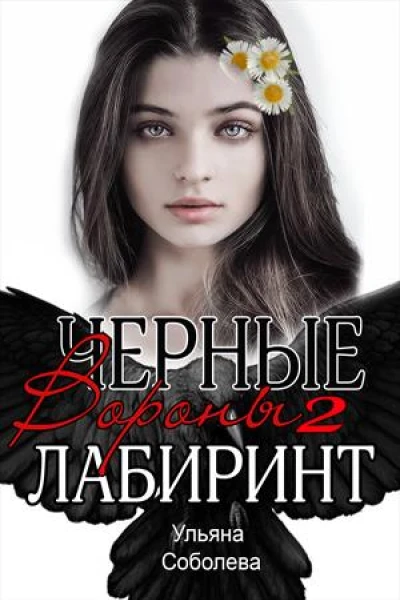Лабиринт Черные вороны Книга 2