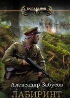 Лабиринт Феникс