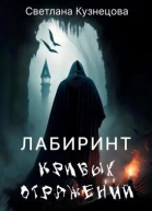 Лабиринт кривых отражений