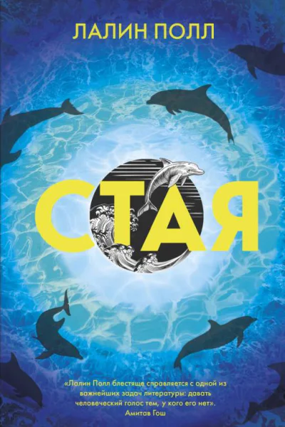 Лалин Полл Стая