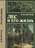 Лес и его жизнь