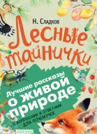Лесные тайнички С вопросами и ответами для почемучек