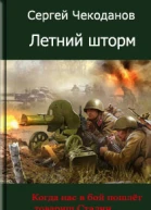 Летний шторм СИ