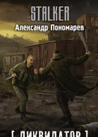 Ликвидатор Тяжелый пепел