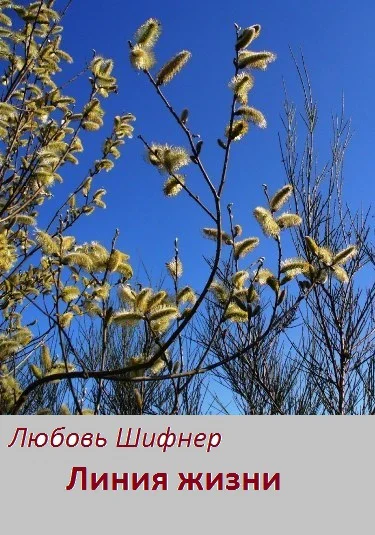 Линия жизни СИ