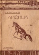 Лисица