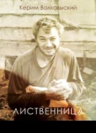 Лиственница