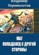 Маг Попаданец с другой стороны