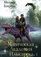 Магическая академия Ильсарры 1