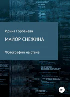 Майор Снежина Фотографии на стене