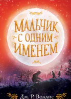 Мальчик с одним именем  Дж Р Воллис