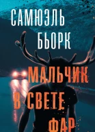 Мальчик в свете фар