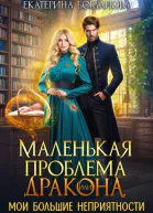 Маленькая проблема дракона или Мои большие неприятности СИ