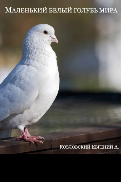 Маленький белый голубь мира