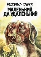 Маленький да удаленький
