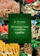 Малоизвестные съедобные грибы