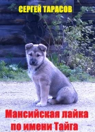 Мансийская лайка по имени Тайга