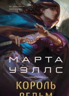 Марта Уэллс Король ведьм