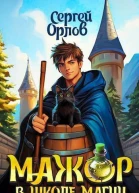 Мажор в школе магии СИ
