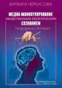 Медиаманипулирование общественным политическим сознанием Телевидение и Интернет