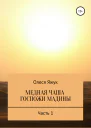 Медная чаша госпожи Мадины Часть 1
