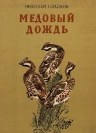 Медовый дождь