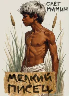 Мелкий писец