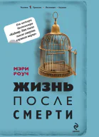 Мэри Роуч Жизнь после смерти