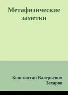 Метафизические заметки