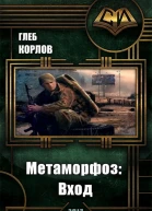 Метаморфоз Вход СИ