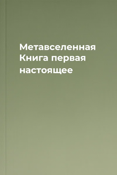 Метавселенная Книга первая настоящее