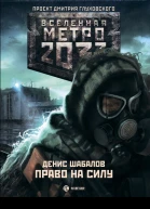 Метро 2033 Право на силу роман Денис Шабалов