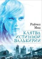 Мид Райчел Клятва истинной валькирии