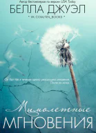 Мимолетные мгновения ЛП