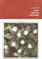 Мир лесных растений