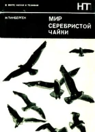 Мир серебристой чайки
