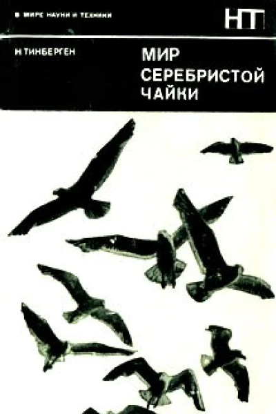 Мир серебристой чайки