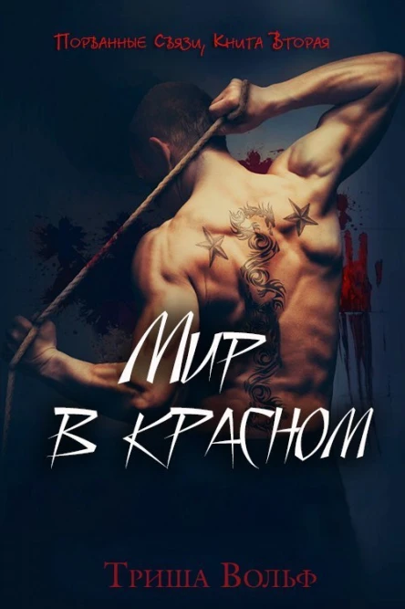 Мир в красном Книга 2 ЛП