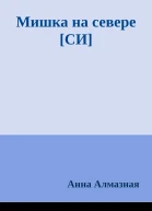 Мишка на севере СИ