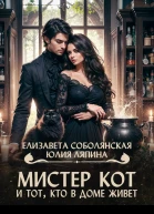 Мистер Кот и тот кто в доме живет