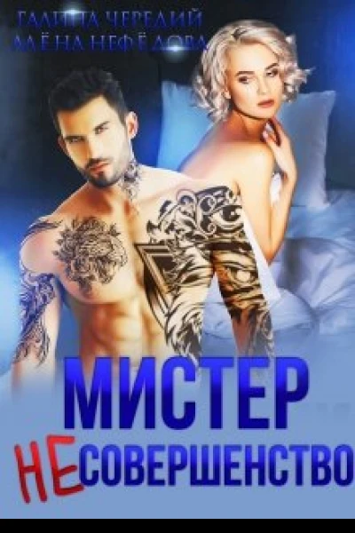 Мистер Несовершенство