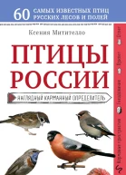 Митителло Ксения Птицы России Наглядный карманный определитель